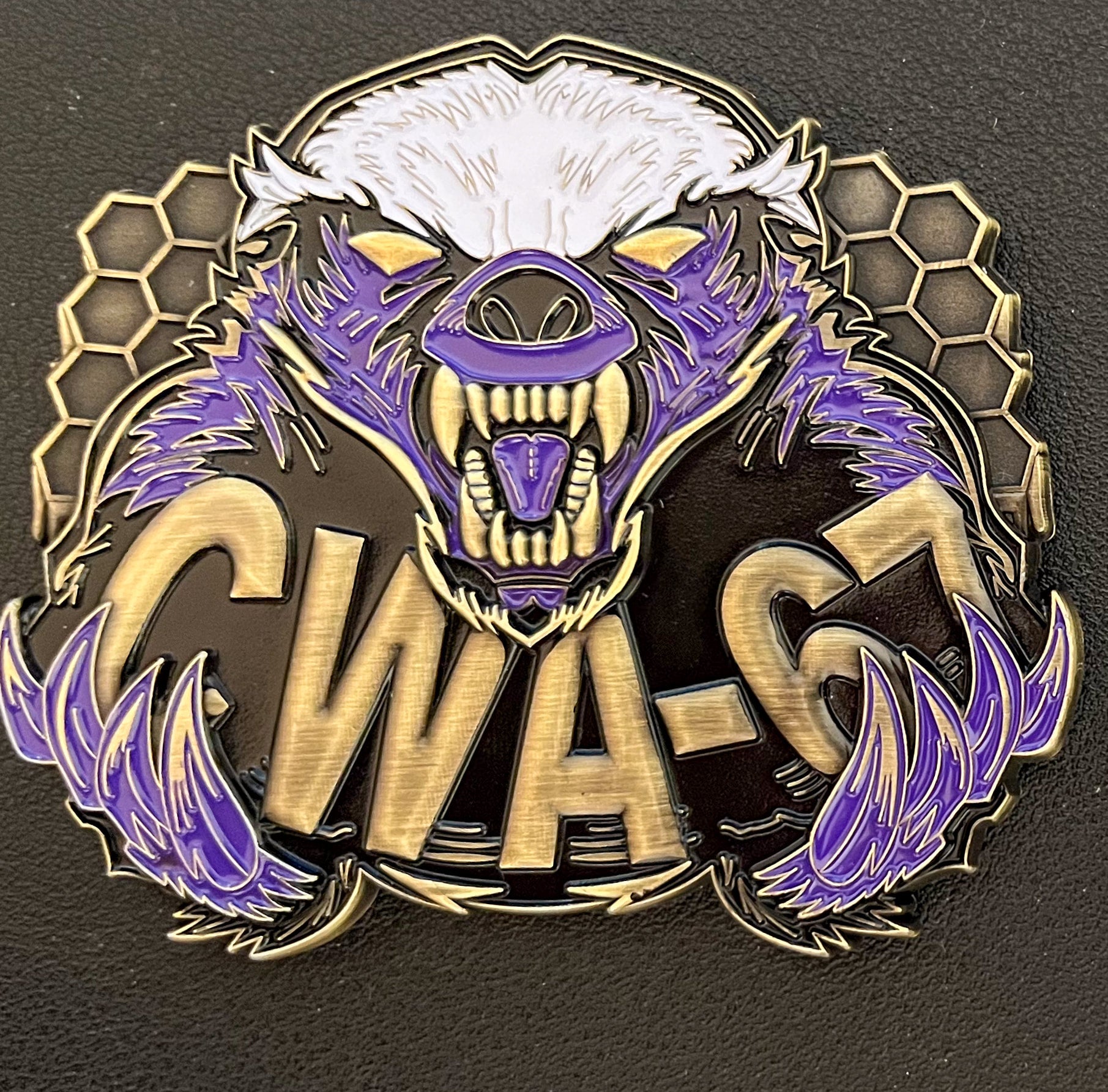 CWA-67 Badger Coin | CWA-67 Chiefs Mess